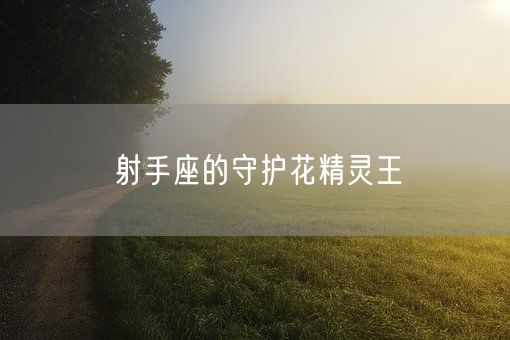 射手座的守护花精灵王(图1)