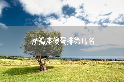 摩羯座傻蛋排第几名(图1)