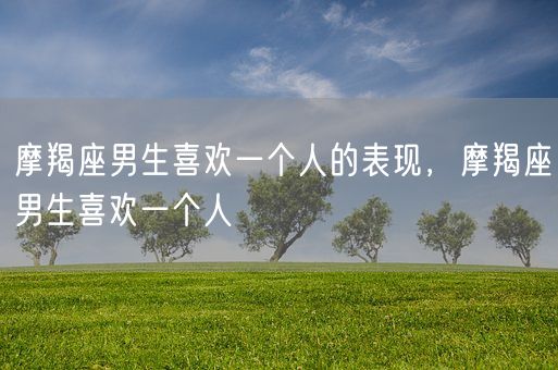 摩羯座男生喜欢一个人的表现，摩羯座男生喜欢一个人(图1)