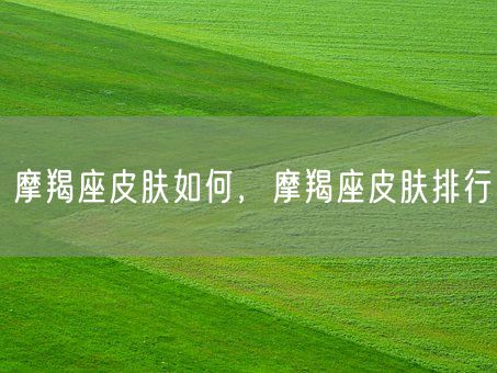 摩羯座皮肤如何，摩羯座皮肤排行(图1)