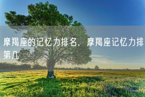 摩羯座的记忆力排名，摩羯座记忆力排第几(图1)
