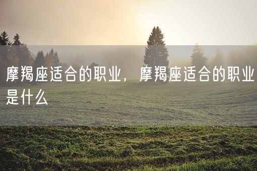 摩羯座适合的职业，摩羯座适合的职业是什么(图1)
