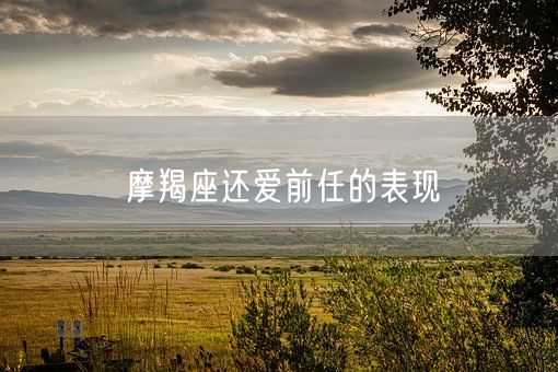 摩羯座还爱前任的表现(图1)