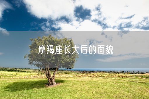 摩羯座长大后的面貌(图1)