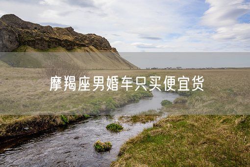 摩羯座男婚车只买便宜货(图1)