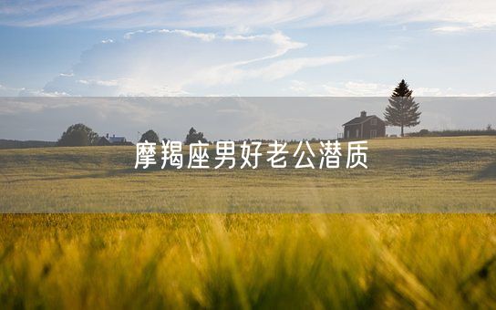 摩羯座男好老公潜质(图1)
