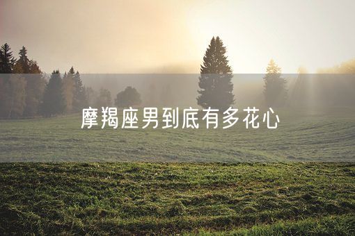 摩羯座男到底有多花心(图1)