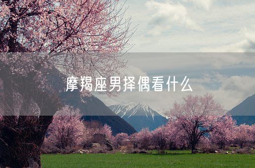 摩羯座男择偶看什么(图1)