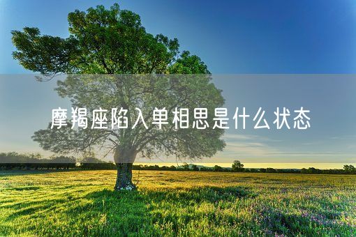 摩羯座陷入单相思是什么状态(图1)