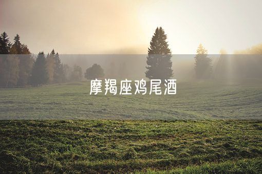 摩羯座鸡尾酒(图1)