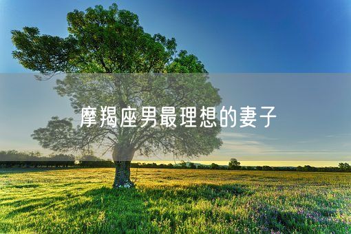 摩羯座男最理想的妻子(图1)