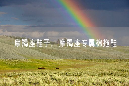 摩羯座鞋子，摩羯座专属棉拖鞋(图1)