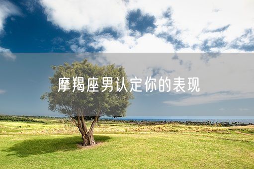摩羯座男认定你的表现(图1)