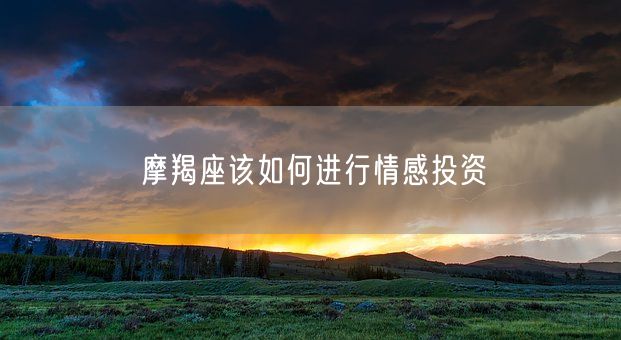 摩羯座该如何进行情感投资(图1)
