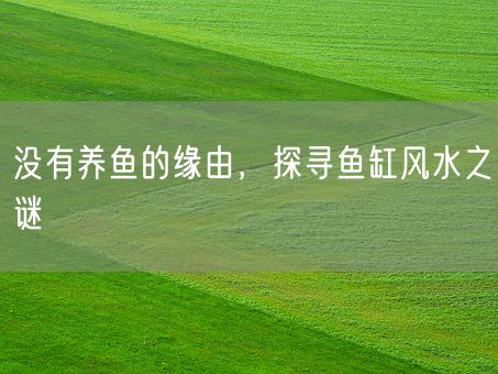 没有养鱼的缘由，探寻鱼缸风水之谜(图1)