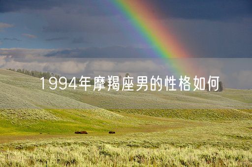 1994年摩羯座男的性格如何(图1)