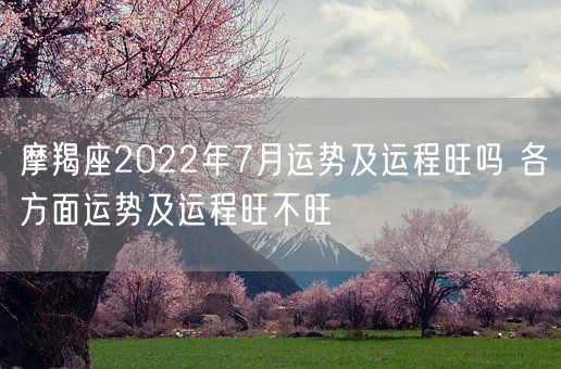 摩羯座2022年7月运势及运程旺吗 各方面运势及运程旺不旺(图1)