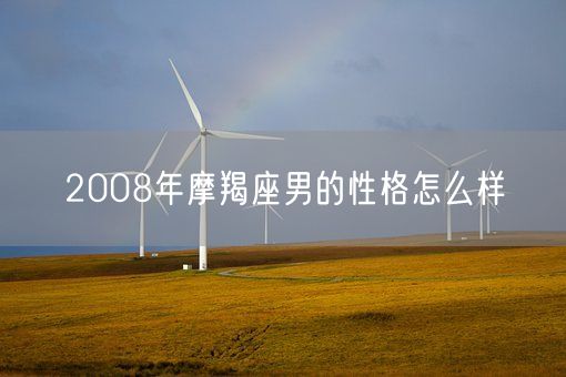 2008年摩羯座男的性格怎么样(图1)