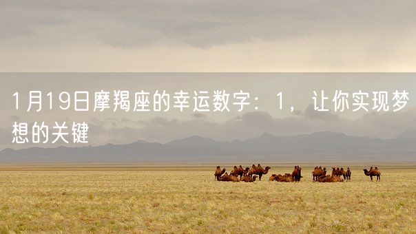 1月19日摩羯座的幸运数字：1，让你实现梦想的关键(图1)