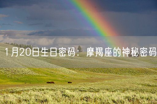 1月20日生日密码：摩羯座的神秘密码(图1)