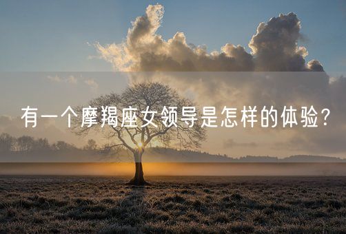 有一个摩羯座女领导是怎样的体验？(图1)