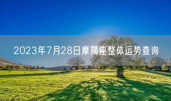 2023年7月28日摩羯座整体运势查询(图1)