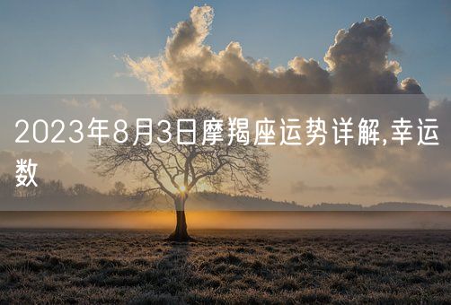 2023年8月3日摩羯座运势详解,幸运数(图1)