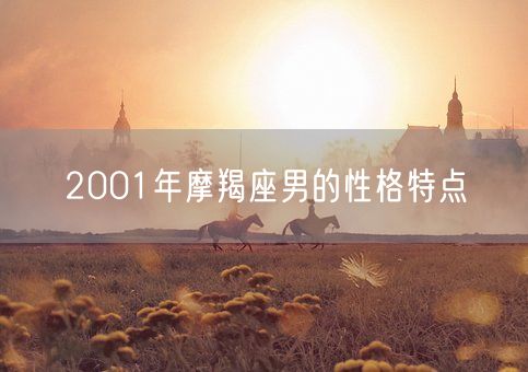 2001年摩羯座男的性格特点(图1)