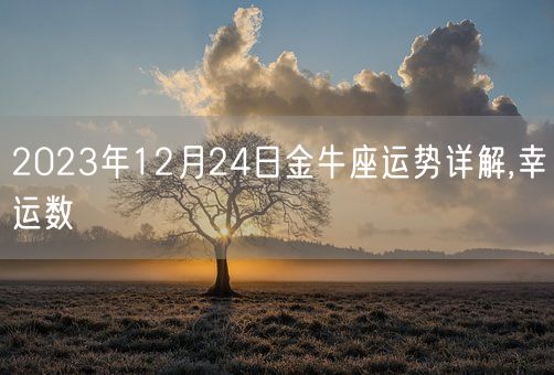 2023年12月24日金牛座运势详解,幸运数(图1)