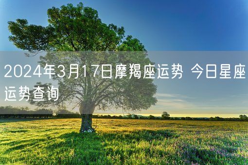 2024年3月17日摩羯座运势 今日星座运势查询(图1)