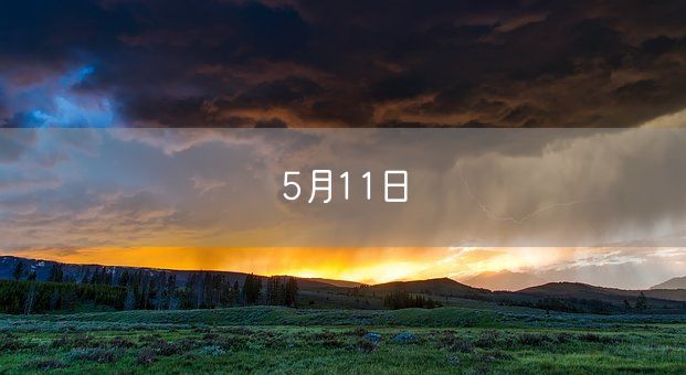 5月11日(图1)