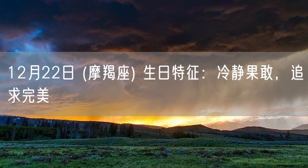 12月22日 (摩羯座) 生日特征：冷静果敢，追求完美(图1)