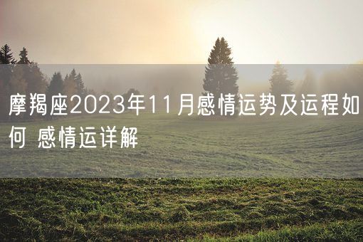 摩羯座2023年11月感情运势及运程如何 感情运详解(图1)