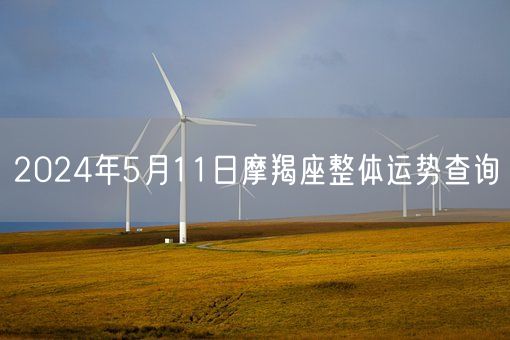 2024年5月11日摩羯座整体运势查询(图1)