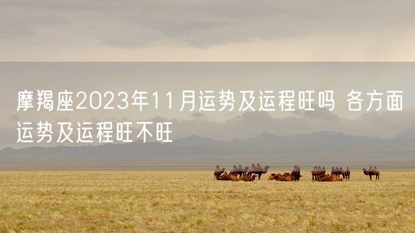 摩羯座2023年11月运势及运程旺吗 各方面运势及运程旺不旺(图1)