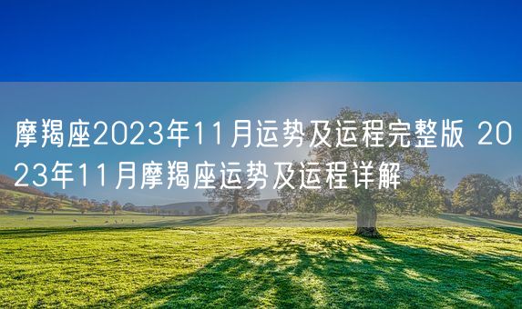 摩羯座2023年11月运势及运程完整版 2023年11月摩羯座运势及运程详解(图1)