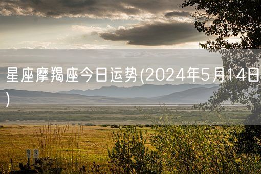 星座摩羯座今日运势(2024年5月14日) (图1)