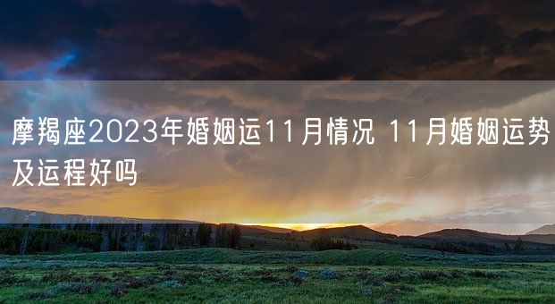 摩羯座2023年婚姻运11月情况 11月婚姻运势及运程好吗(图1)
