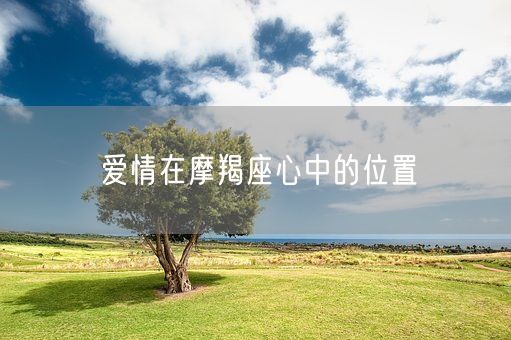 爱情在摩羯座心中的位置(图1)