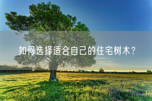 如何选择适合自己的住宅树木？(图1)