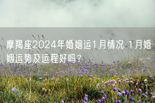 摩羯座2024年婚姻运1月情况 1月婚姻运势及运程好吗？(图1)