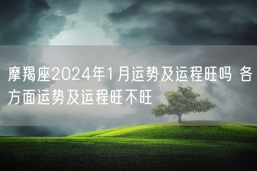 摩羯座2024年1月运势及运程旺吗 各方面运势及运程旺不旺(图1)