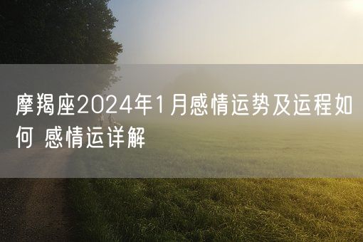 摩羯座2024年1月感情运势及运程如何 感情运详解(图1)