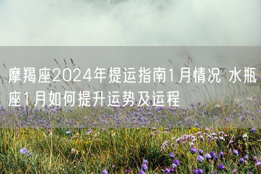 摩羯座2024年提运指南1月情况 水瓶座1月如何提升运势及运程(图1)