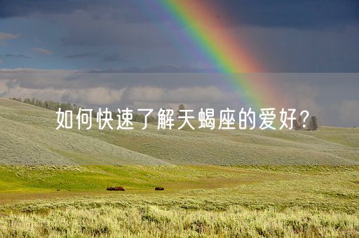 如何快速了解天蝎座的爱好？(图1)