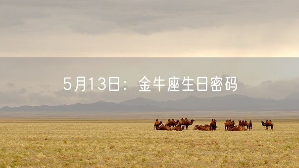 5月13日：金牛座生日密码(图1)