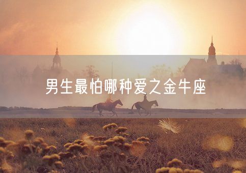 男生最怕哪种爱之金牛座(图1) 男生最怕哪种爱之金牛座(图1)