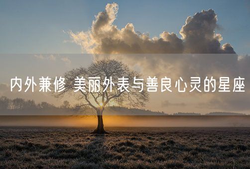 内外兼修 美丽外表与善良心灵的星座(图1)