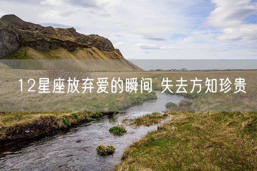 12星座放弃爱的瞬间 失去方知珍贵(图1)