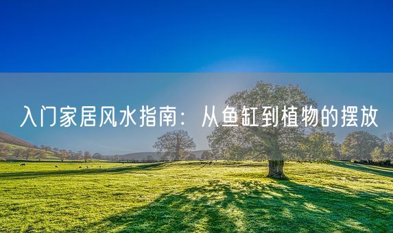 入门家居风水指南：从鱼缸到植物的摆放(图1)